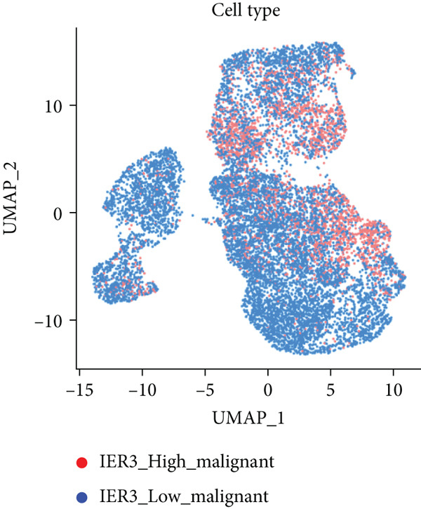 Figure 20