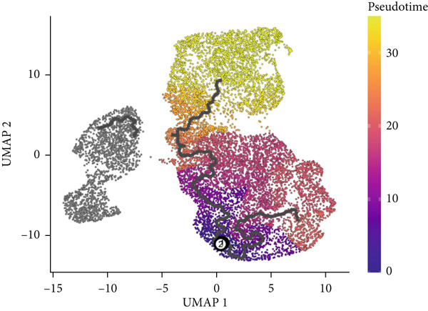 Figure 23