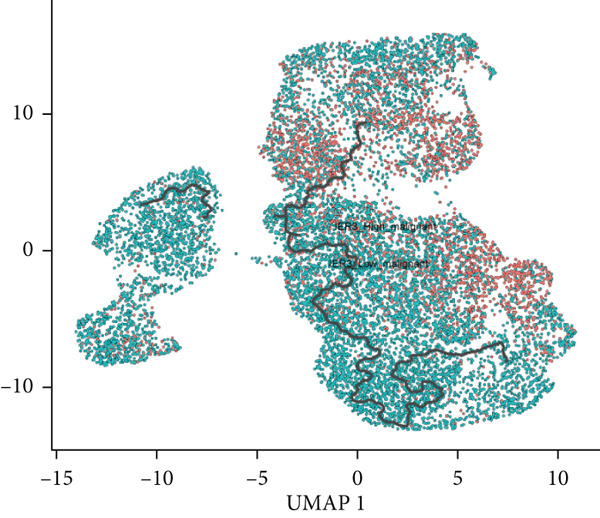 Figure 24