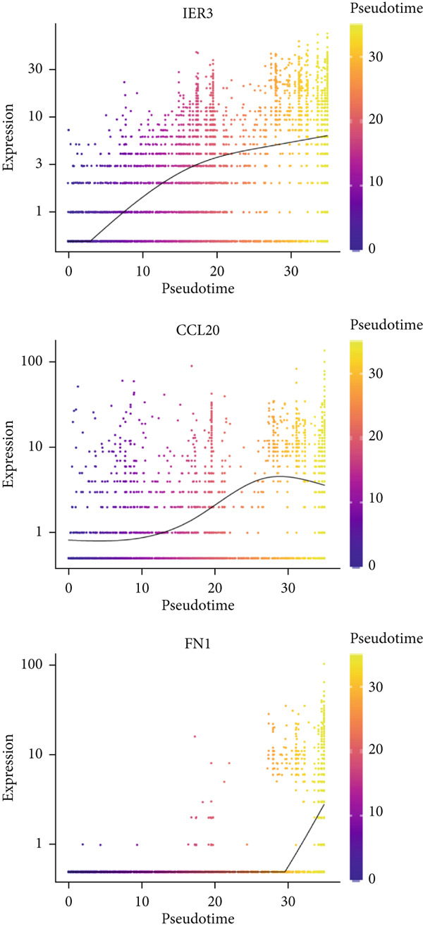 Figure 25