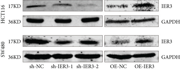 Figure 28