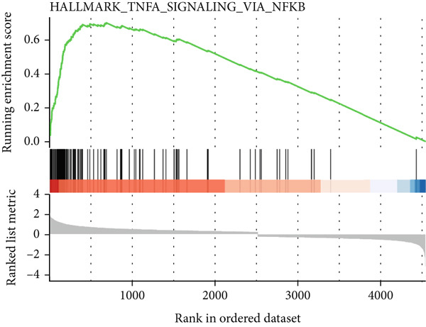 Figure 30