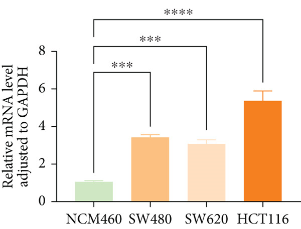 Figure 31