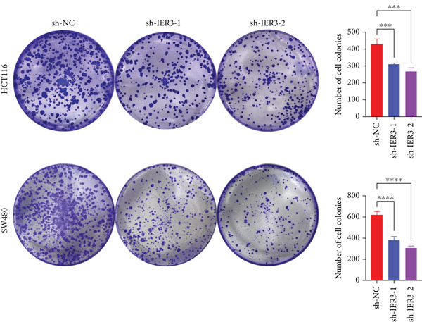 Figure 33