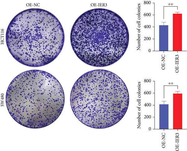 Figure 34