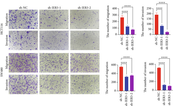 Figure 35
