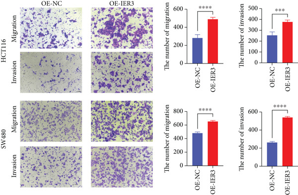 Figure 36