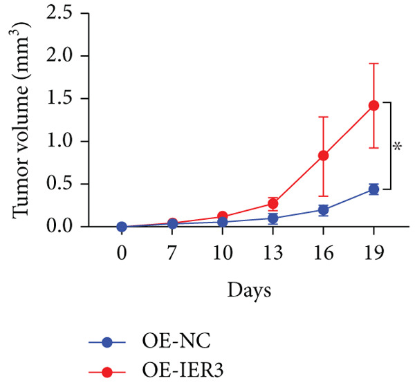 Figure 38