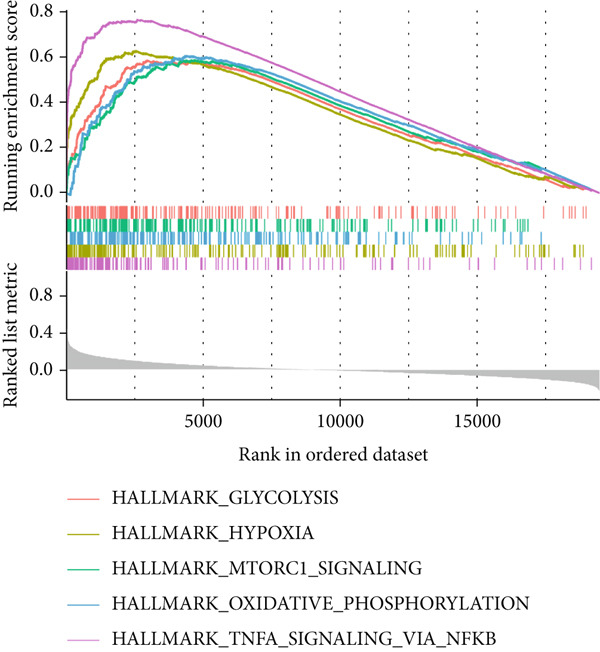 Figure 39