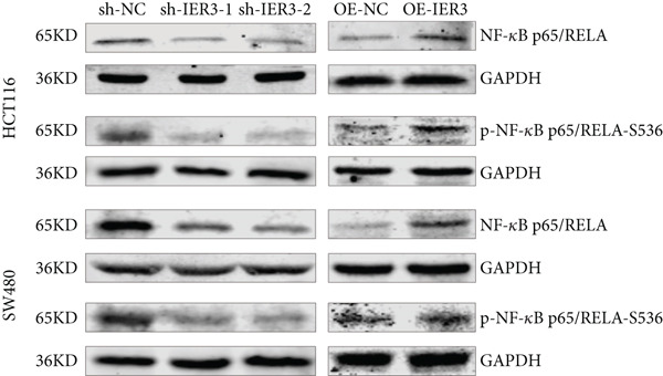 Figure 43
