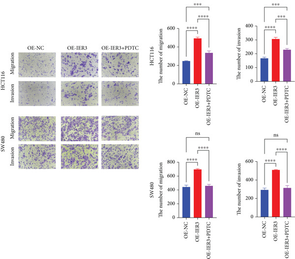 Figure 46
