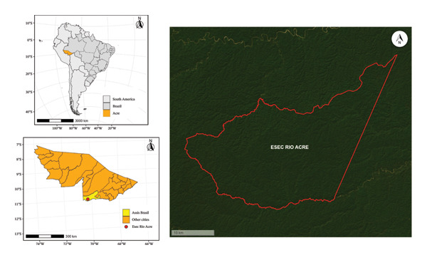 Figure 11