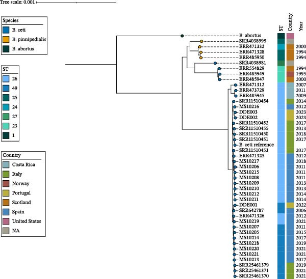 Figure 11