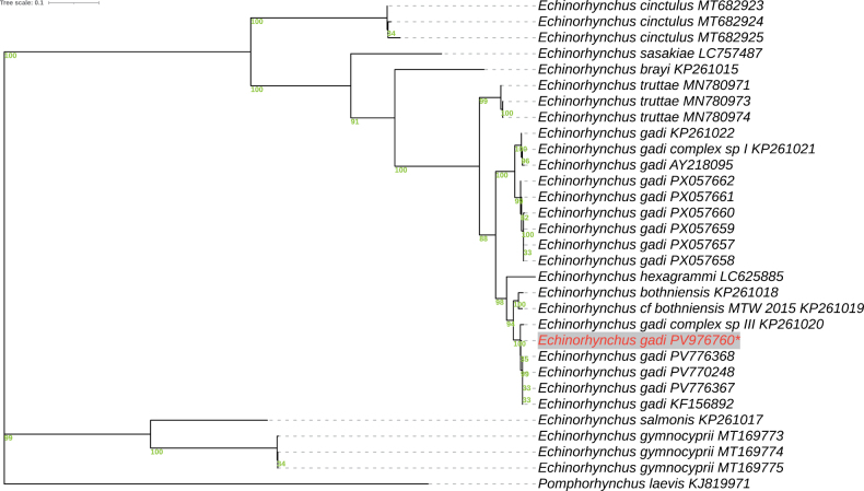 Figure 2
