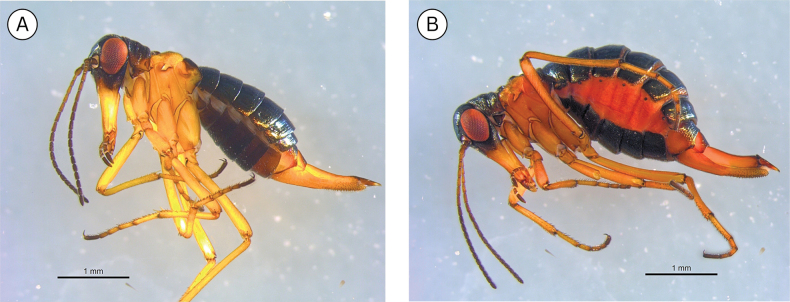 Figure 14