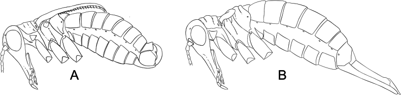 Figure 18