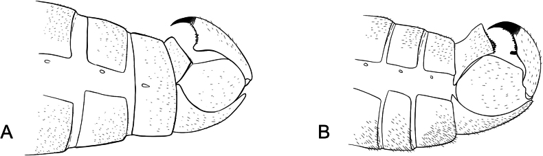 Figure 20