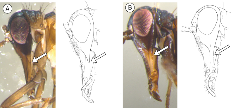 Figure 22