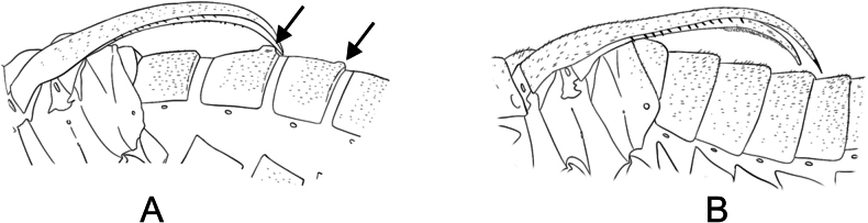 Figure 23