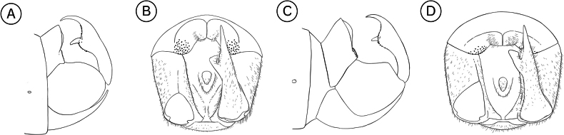 Figure 24
