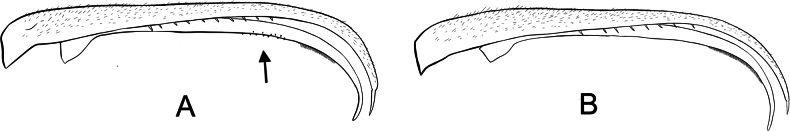 Figure 25