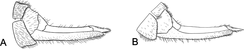 Figure 26