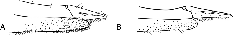 Figure 27