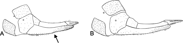 Figure 28