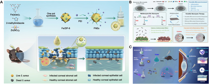 Figure 11