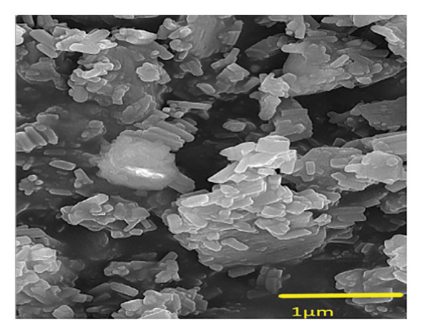 Figure 22