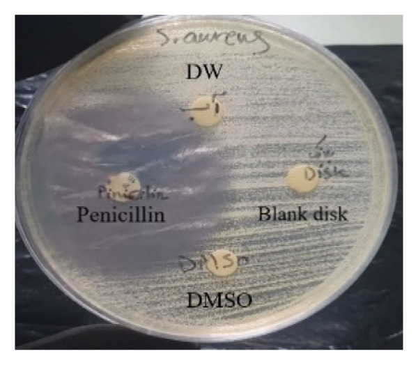 Figure 24