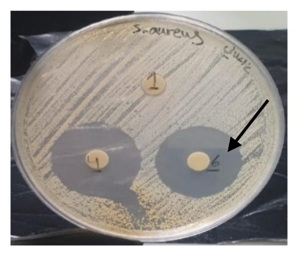 Figure 25