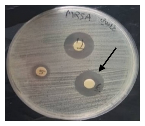 Figure 26