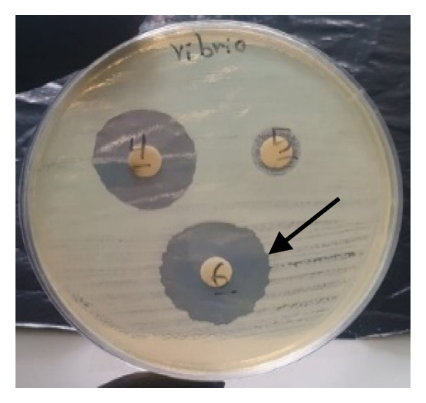 Figure 27