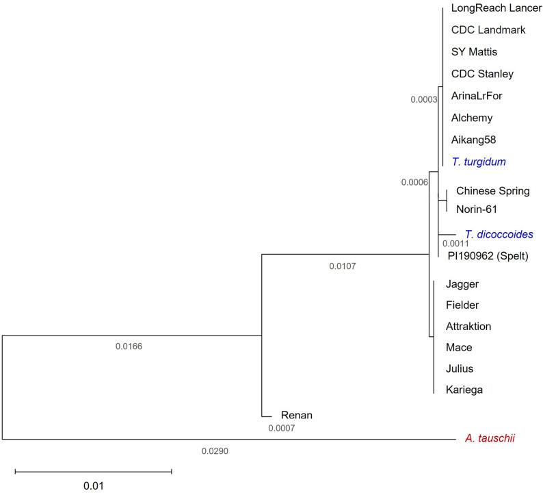 Figure 2