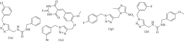 Figure 13