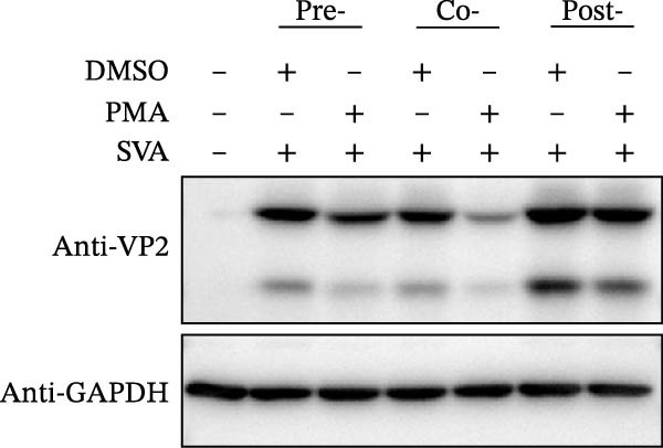 Figure 17