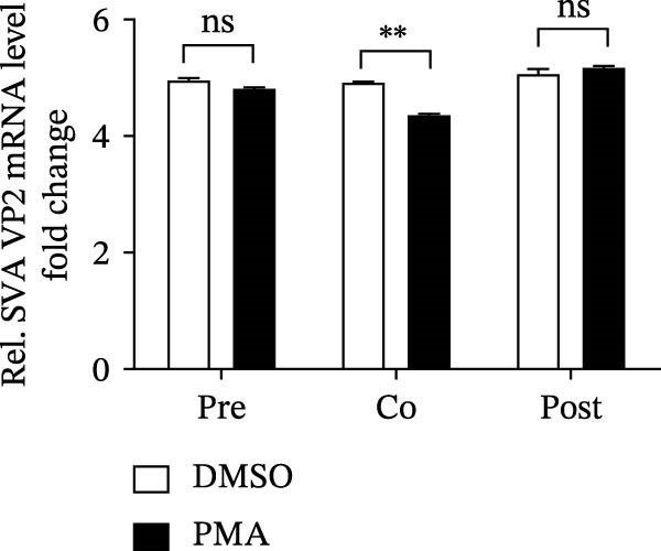 Figure 18