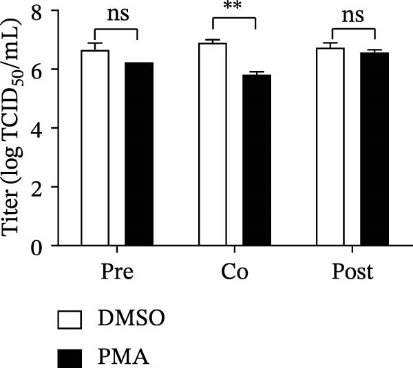 Figure 20