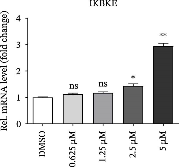 Figure 21