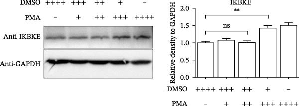 Figure 22