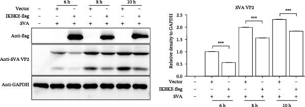 Figure 27