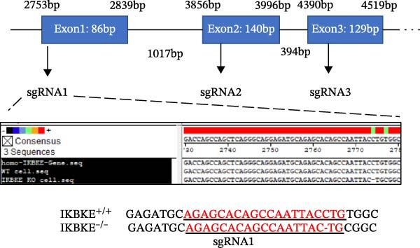 Figure 28