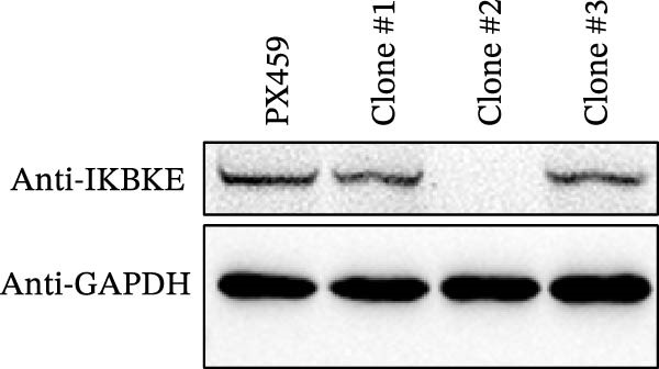 Figure 29