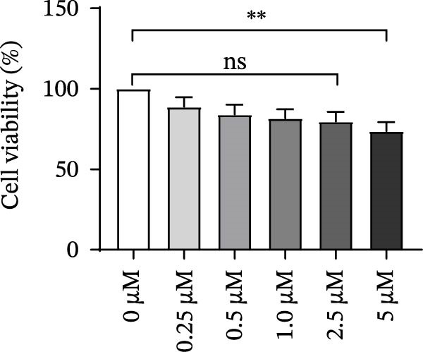 Figure 32