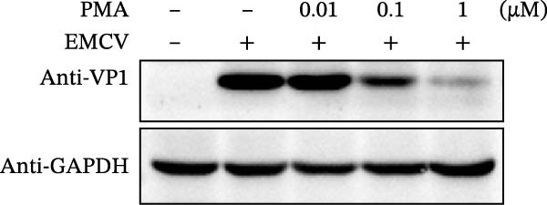 Figure 34