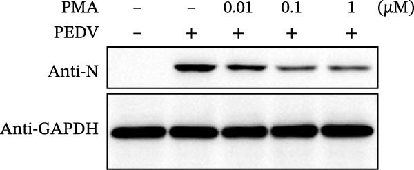 Figure 37