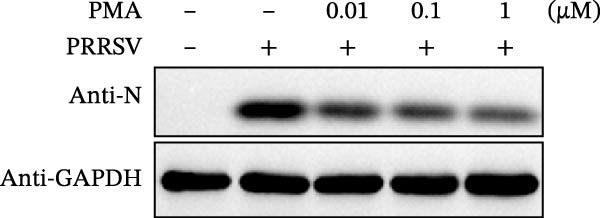 Figure 40