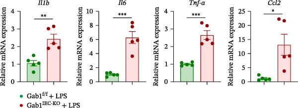 Figure 18