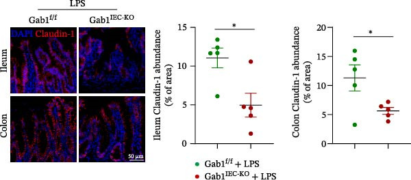 Figure 22